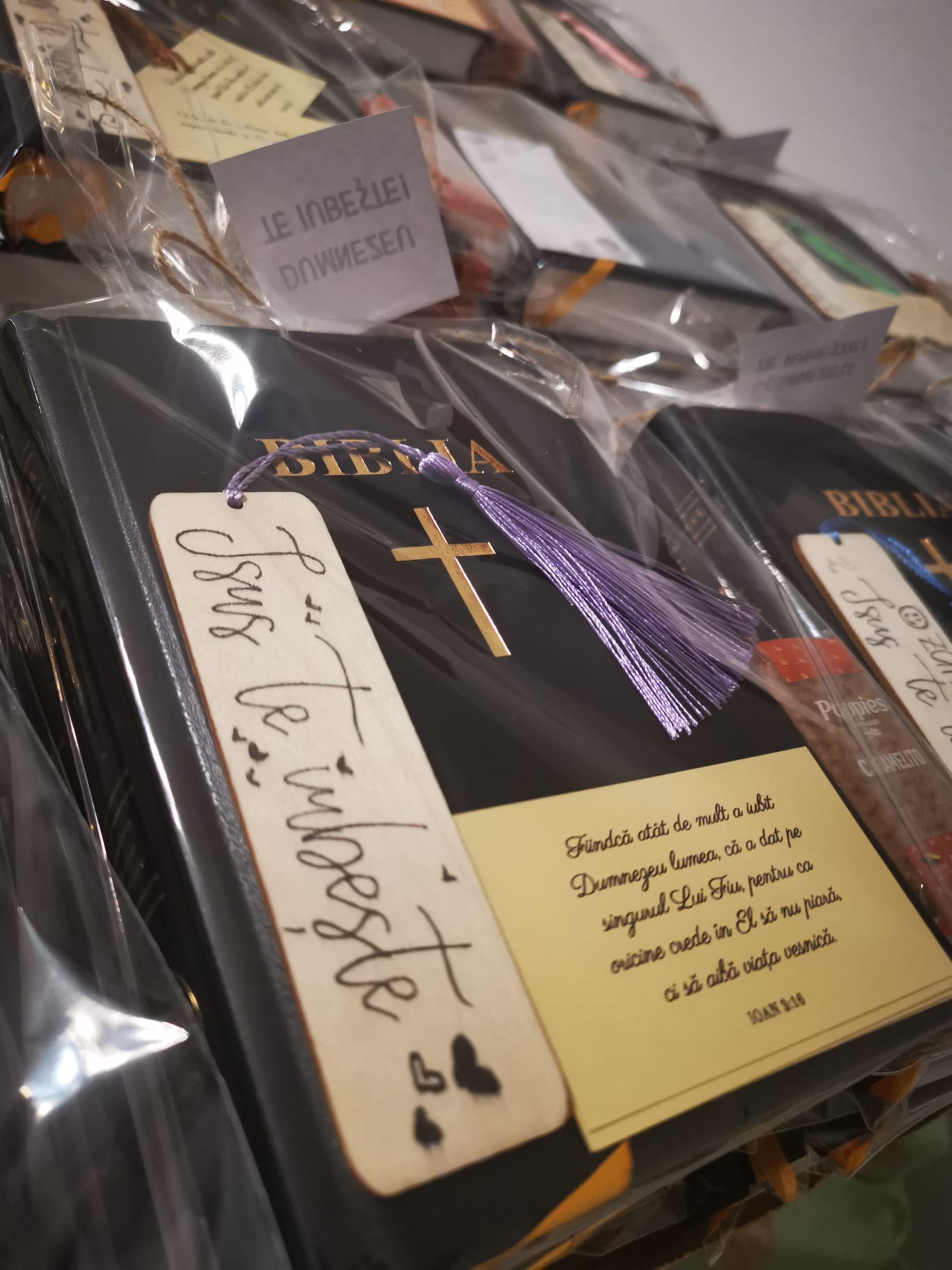 Biblia personalizată