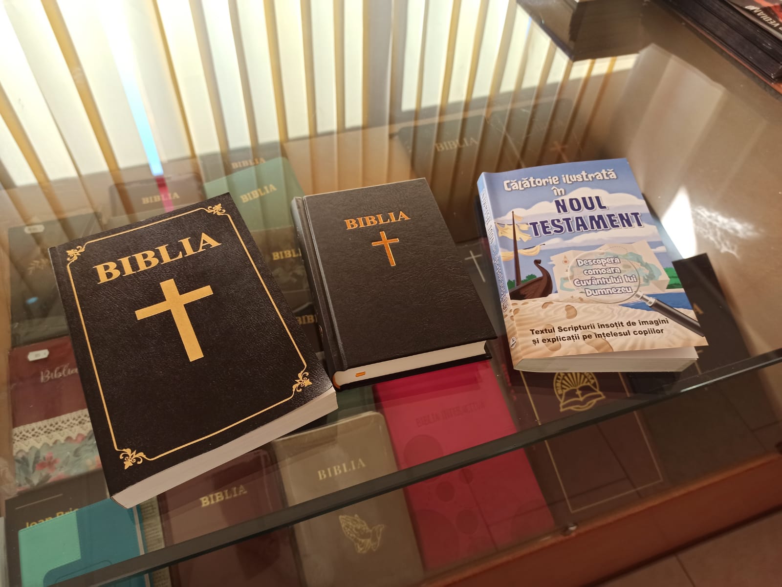 Biblia personalizată