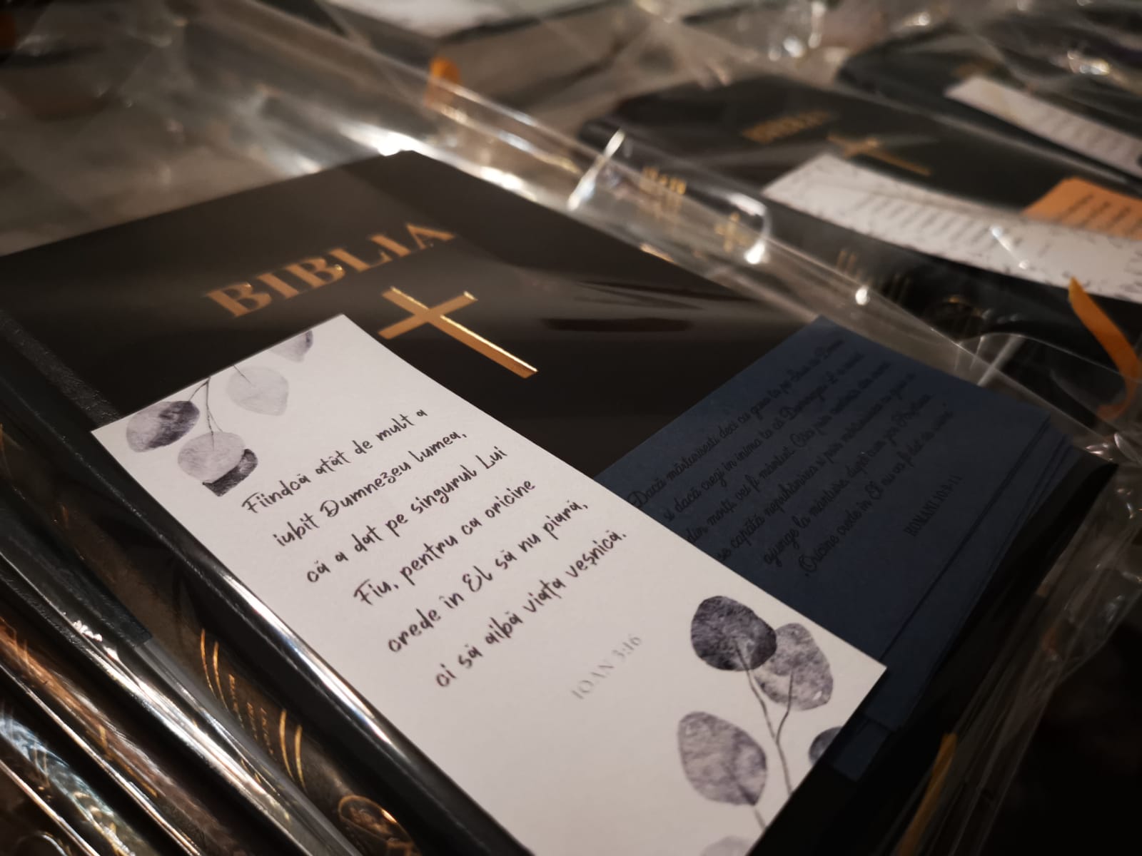 Biblia personalizată