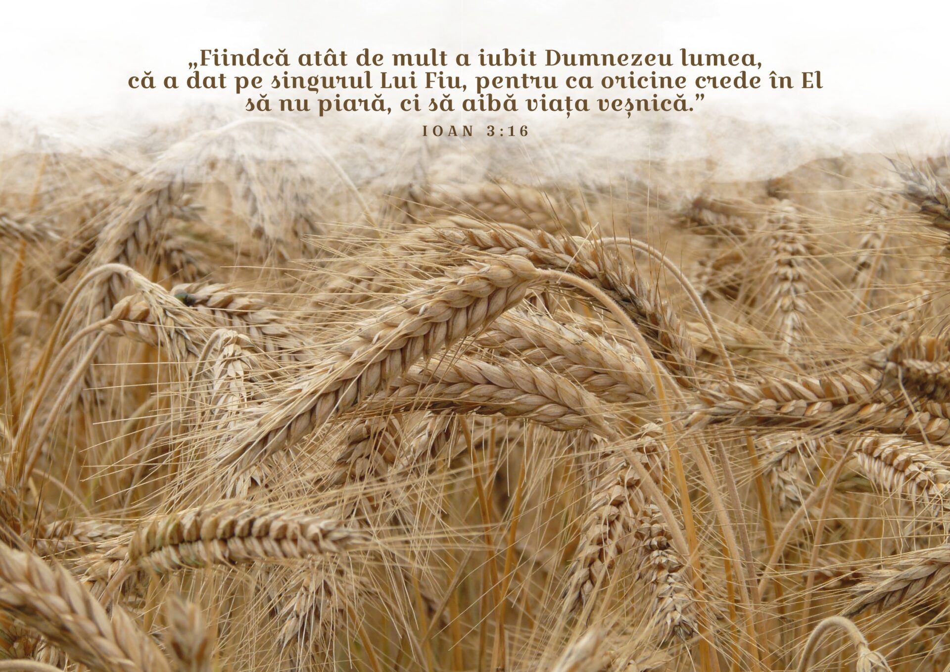 Calendar 2023 – Iulie