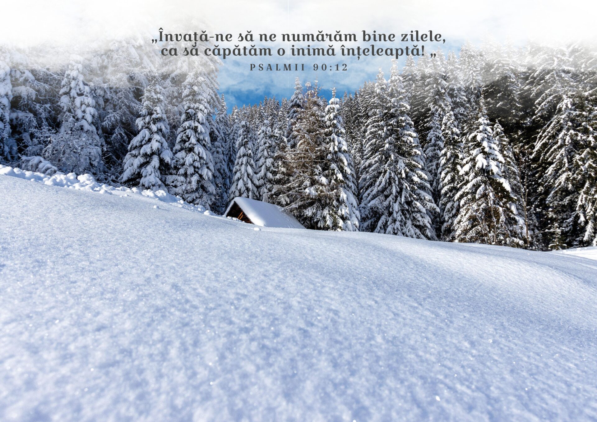 Calendar 2023 – Decembrie